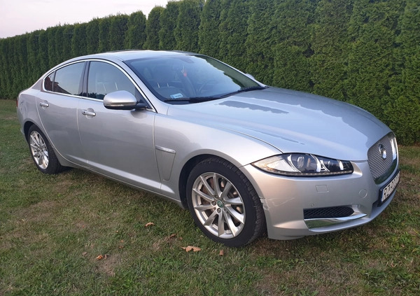 jaguar rzeszów Jaguar XF cena 58000 przebieg: 65000, rok produkcji 2013 z Rzeszów